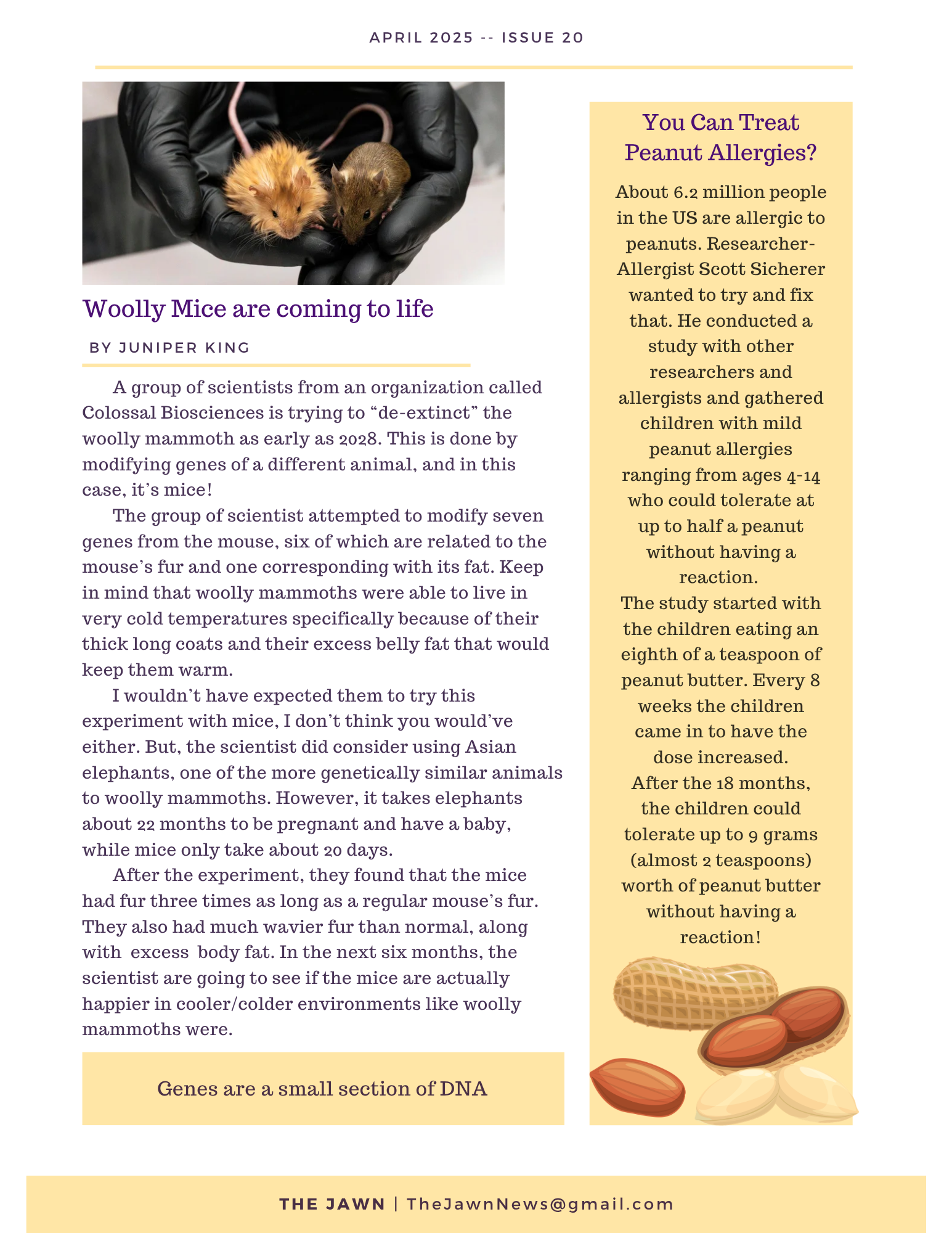 The Jawn, Issue 20, Page 2