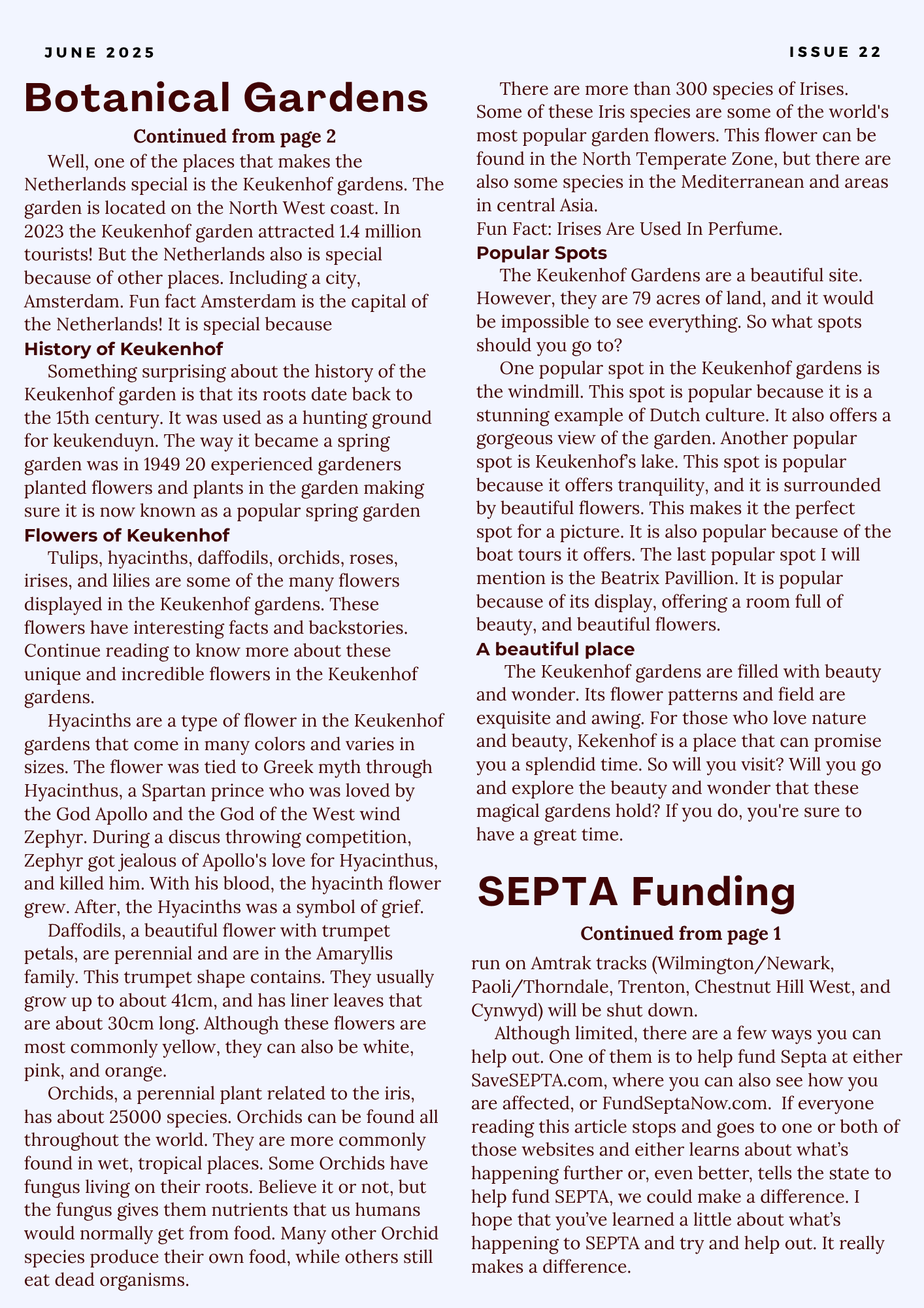 The Jawn, Issue 22, Page 4